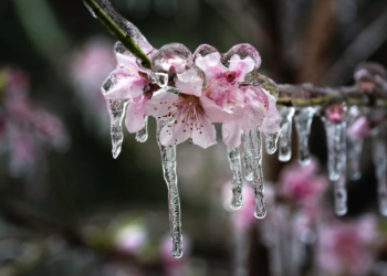 Vreme deosebit de rece până la sfârșitul săptămânii, în Banat