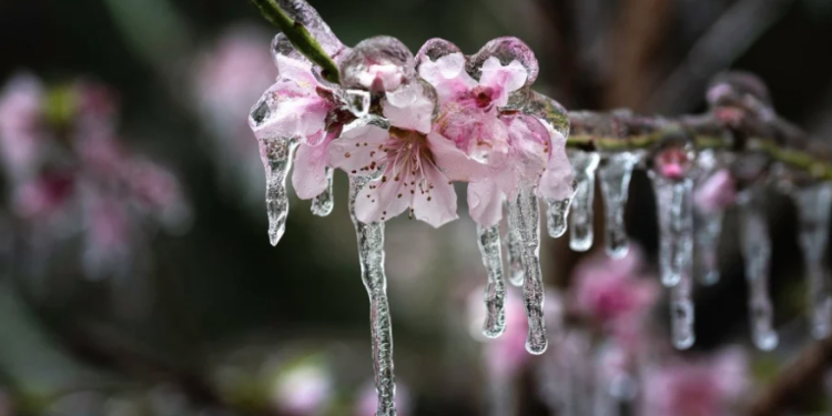 Vreme deosebit de rece până la sfârșitul săptămânii, în Banat