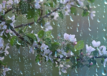 Avertizarea meteo de precipitații mixte și vânt puternic, prelungită în vestul țării