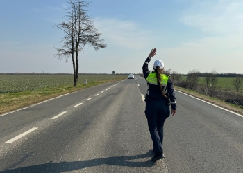 Speed Marathon Timiș: Peste 320 de amenzi și 12 permise reținute într-o singură zi