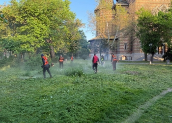 Timișoara „se tunde”. Administrația locală renunță la cosirea mozaicată