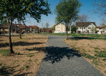 Un teren nefolosit din zona Braytim din Timișoara capătă o nouă viață FOTO