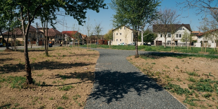 Un teren nefolosit din zona Braytim din Timișoara capătă o nouă viață FOTO