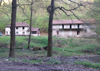 Consiliul Județean Timiș preia tabăra școlară de la Nădrag pentru a o reabilita cu bani europeni