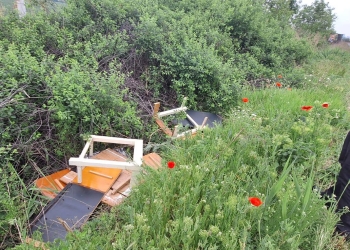 Amendă de 30.000 lei pentru un bărbat care a aruncat gunoaie la marginea drumului, la Timișoara