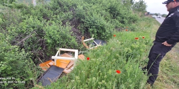 Amendă de 30.000 lei pentru un bărbat care a aruncat gunoaie la marginea drumului, la Timișoara