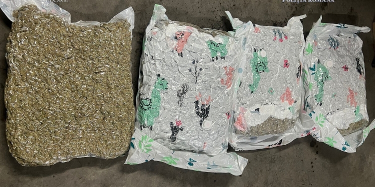 21 kg de canabis, trimise prin curierat din Spania la Timișoara! Doi tineri, arestați preventiv