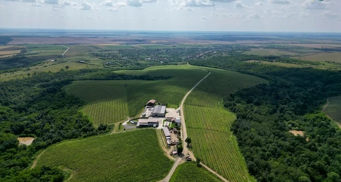 Maratonul Inimii revine în 2025: un eveniment sportiv și caritabil pentru iubitorii de alergare