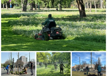 Horticultura face angajări în Timișoara
