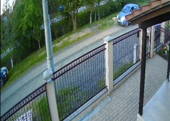 Cruzime fără margini! Un bărbat din Timiș a ucis un câine și l-a urcat în portbagaj