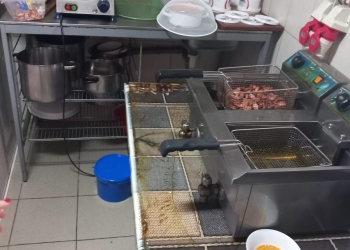 Pensiune și restaurant închise la Moșnița Nouă de OPC! Mizeria era „ca la ea acasă”