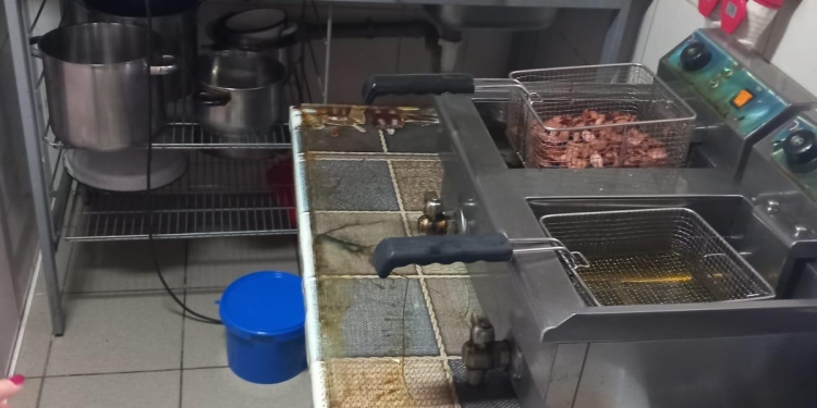 Pensiune și restaurant închise la Moșnița Nouă de OPC! Mizeria era „ca la ea acasă”