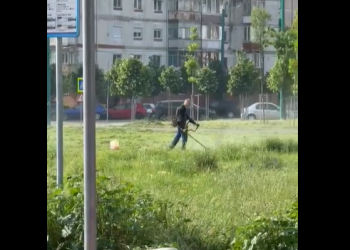 Primăria Timișoara, ample acțiuni de cosire în cartiere