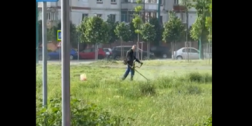 Primăria Timișoara, ample acțiuni de cosire în cartiere