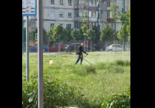 Primăria Timișoara, ample acțiuni de cosire în cartiere