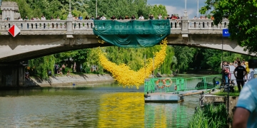 Se pregătește o nouă cursă a rățuștelor pe Bega, la Timișoara