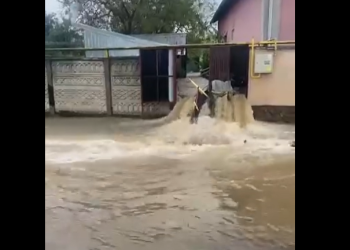 Circulație îngreunată pe un drum național din Banat, din cauza ploilor torențiale