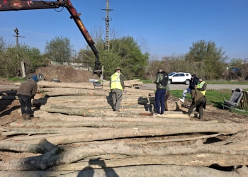 Garda Forestieră Timișoara, zeci de amenzi și lemn confiscat în luna aprilie