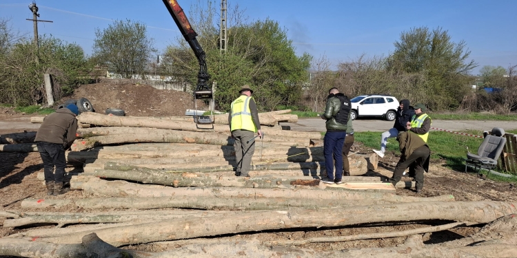 Garda Forestieră Timișoara, zeci de amenzi și lemn confiscat în luna aprilie