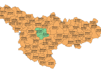 Rezultate alegeri prezidențiale 2025! George Simion, primul în Timiș, Nicușor Dan la Timișoara