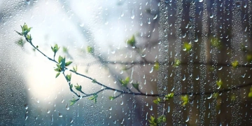 Alertă meteo! Vreme rece și ploi până la sfârșit de săptămână, în vestul țării