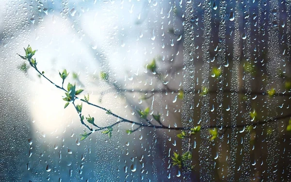 Alertă meteo! Vreme rece și ploi până la sfârșit de săptămână, în vestul țării