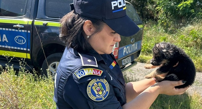 Opt căței, ținuți fără mâncare și apă, salvați de polițiștii din Timiș