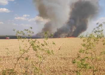 Zi de foc! Pompierii din Timiș au stins opt incendii de vegetație uscată FOTO