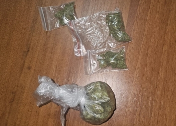 Tineri cu droguri asupra lor, prinși de jandarmi în Parcul Botanic din Timișoara FOTO