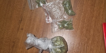 Tineri cu droguri asupra lor, prinși de jandarmi în Parcul Botanic din Timișoara FOTO