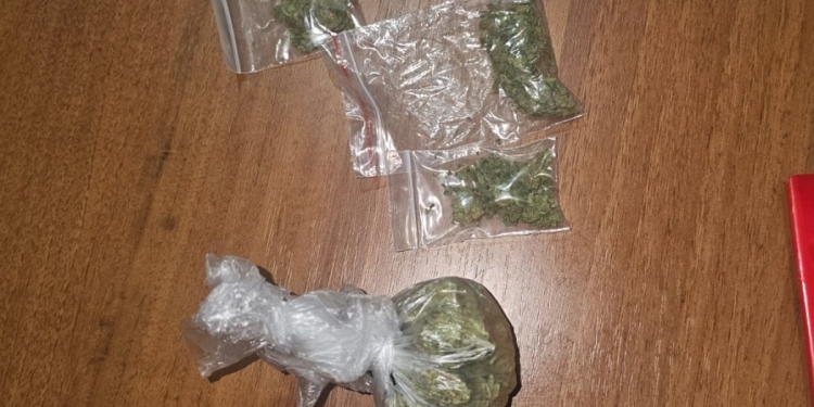 Tineri cu droguri asupra lor, prinși de jandarmi în Parcul Botanic din Timișoara FOTO