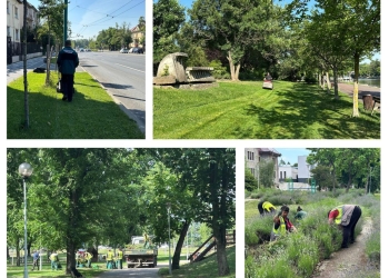 Horticultura își mărește echipa