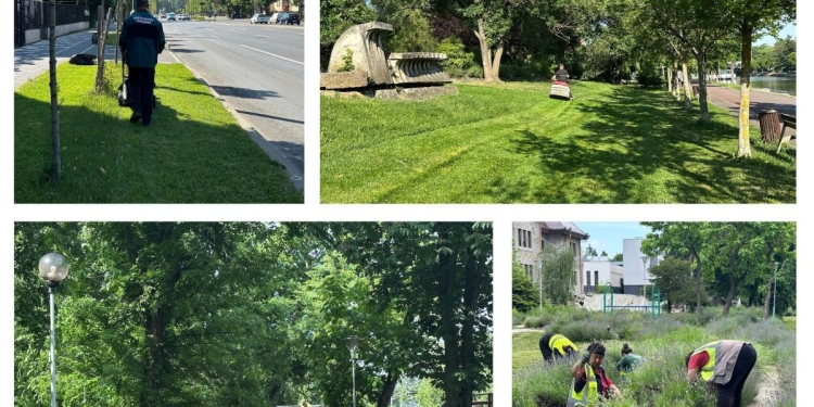 Horticultura își mărește echipa