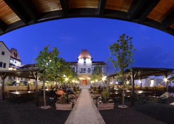 CJ Timiș, proprietar de Castel Royal din Moșnița Nouă