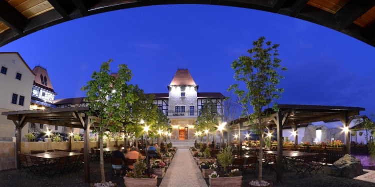 CJ Timiș, proprietar de Castel Royal din Moșnița Nouă