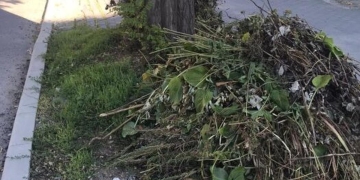 Primăria Timișoara vrea să înjumătățească tariful pentru colectarea deșeurilor vegetale