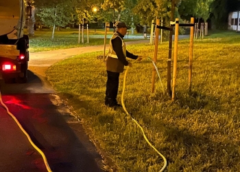 Muncă la foc continuu pentru verdele orașului
