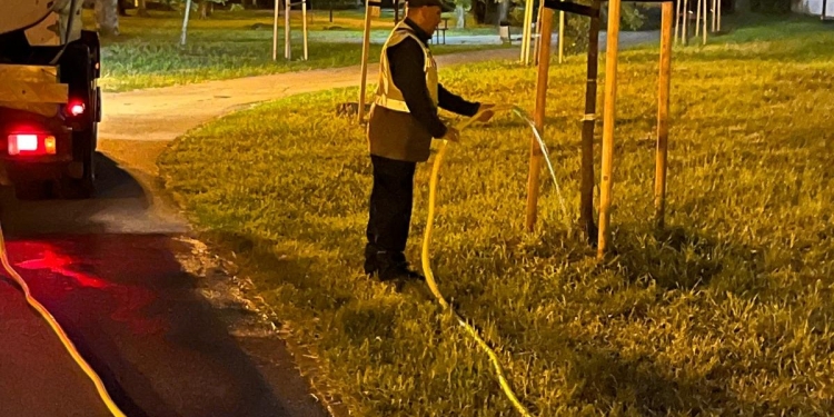 Muncă la foc continuu pentru verdele orașului