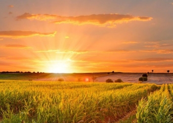 În sfârșit, temperaturi de vară în Banat! Prognoza meteo pentru următoarele două săptămâni