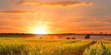 În sfârșit, temperaturi de vară în Banat! Prognoza meteo pentru următoarele două săptămâni