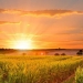 În sfârșit, temperaturi de vară în Banat! Prognoza meteo pentru următoarele două săptămâni
