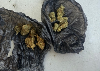 Bărbat prins cu droguri asupra lui de către jandarmii din Timișoara