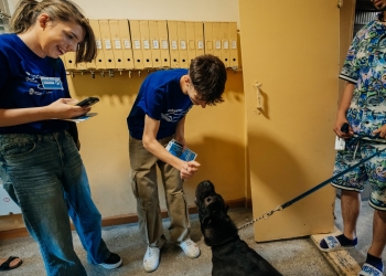 Primăria Timișoara continuă recensământul câinilor cu stăpân! Voluntarii au ajuns la peste 7.000 de gospodării