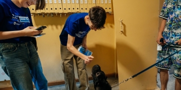 Primăria Timișoara continuă recensământul câinilor cu stăpân! Voluntarii au ajuns la peste 7.000 de gospodării