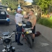 180 de motocicliști verificați de polițiștii din Timiș! S-au aplicat 14 amenzi FOTO