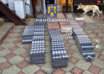 Percheziții la contrabandiști de țigări din Timișoara și Lugoj