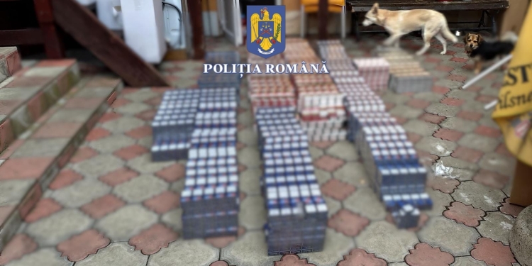 Percheziții la contrabandiști de țigări din Timișoara și Lugoj