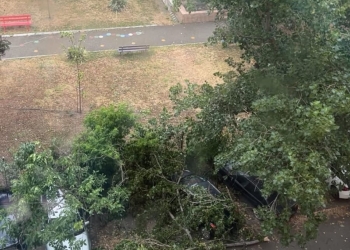 Timișoara: Cod roșu de vijelii. Copaci căzuți peste mașini