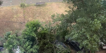 Timișoara: Cod roșu de vijelii. Copaci căzuți peste mașini