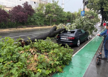 Timiș sub cod roșu: Copaci căzuți, acoperișuri smulse, mașini avariate, copil rănit de țigle